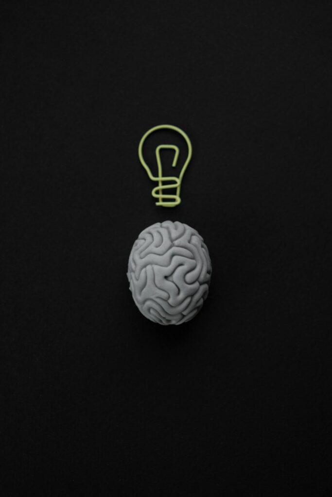 An artistic representation of a grey brain model with a green lightbulb outline above it, set against a black background