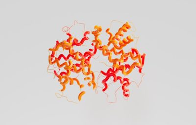 3D representation of a peptide structure with colorful ribbons making up the molecular model.